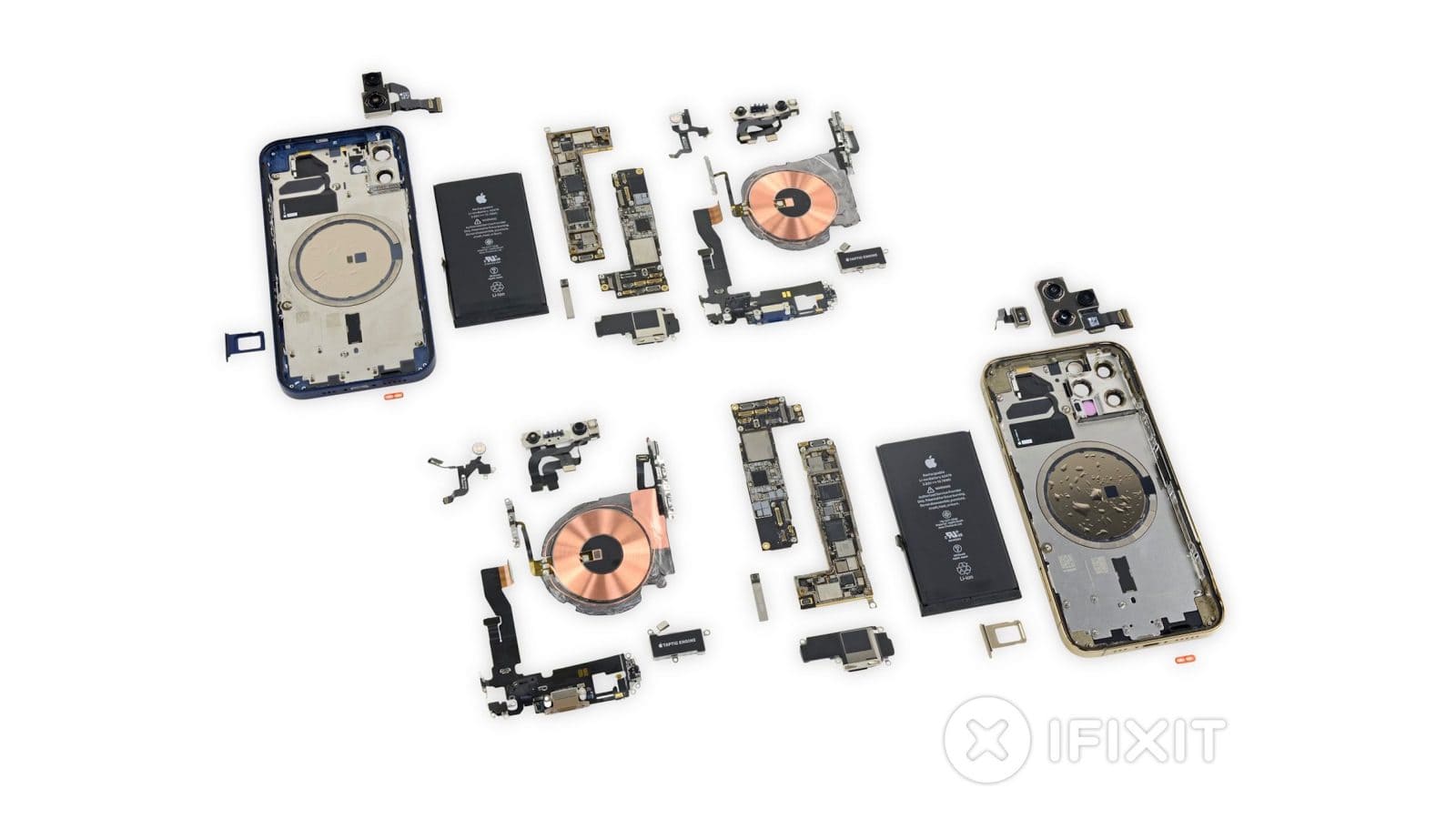 【大進】iPhone12pro iPhone 12 Pro / iPhone 12 Pro Max | iPhone | NTT DOCOMO